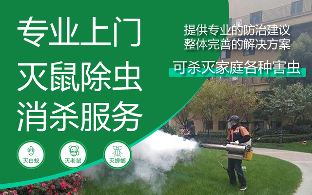 萧山上门灭鼠除虫灭蟑螂跳蚤灭白蚁日常保洁