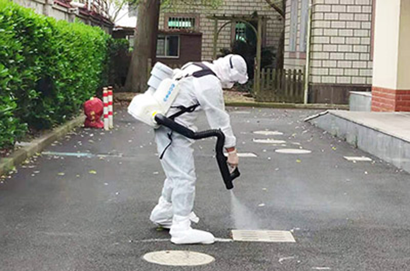 杭州萧山区专业杀虫公司