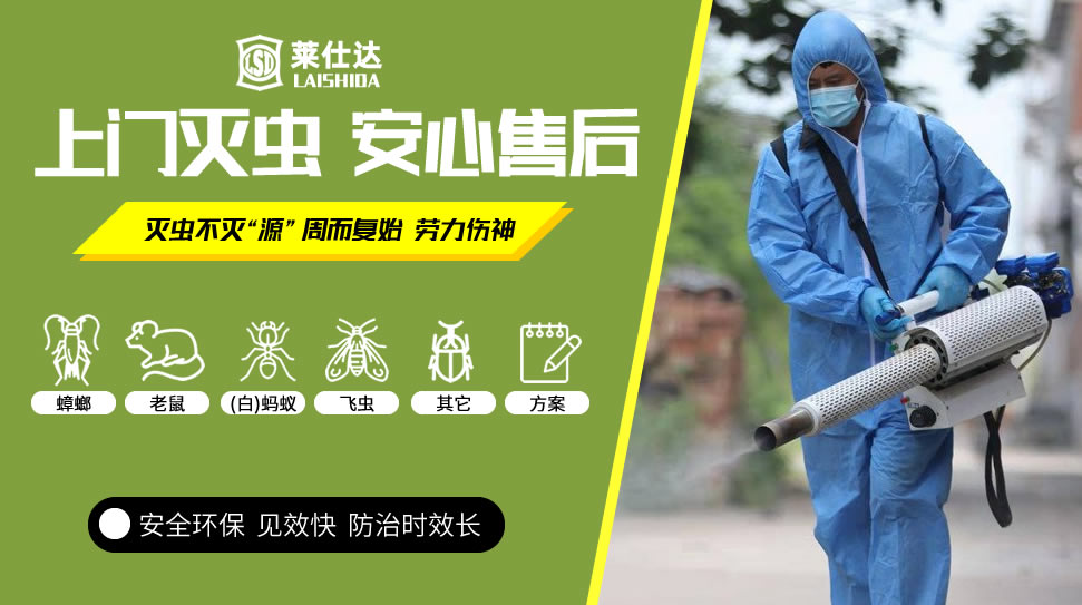 学校除四害总结