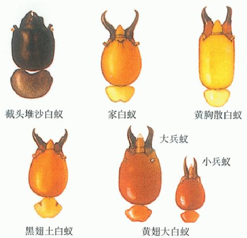 截图1791777963.jpg